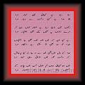 Ashrif Naqvi 01 * 22.03.2008 * 441 x 829 * (49KB)